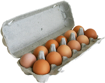 Eggs Free Range Dozen