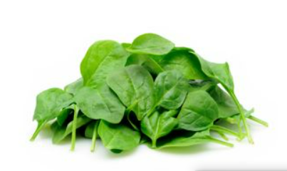 Bidfood Baby Spinach 100g