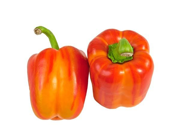 Capsicum Bicolour