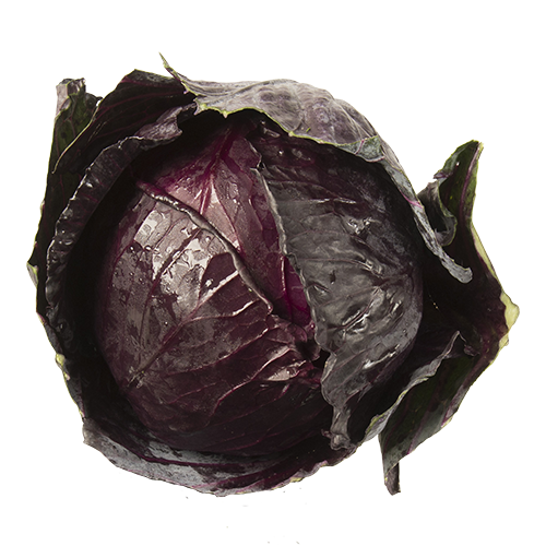 Cabbage Red Whole