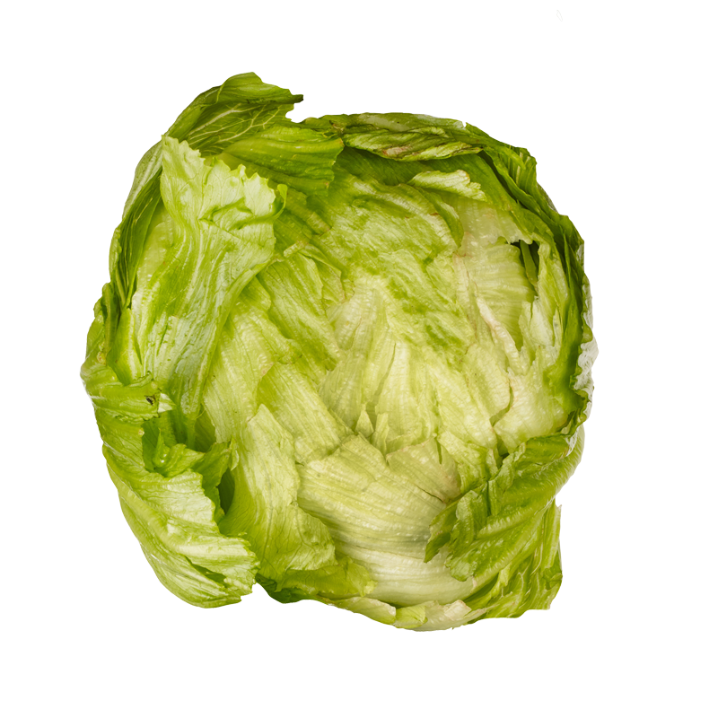 Lettuce Iceberg