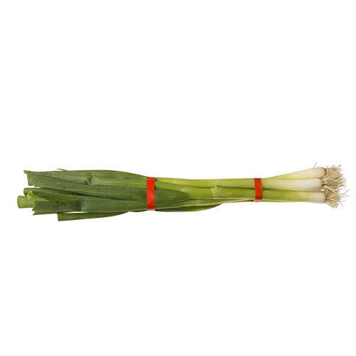 Spring Onion Bunch