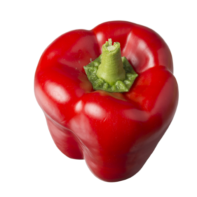 Red Capsicum