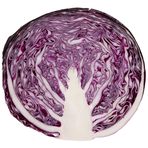 Cabbage Red Half